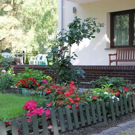Bed & Breakfast Olympia *