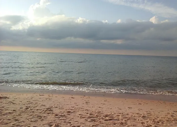 Bed and breakfast Olympia